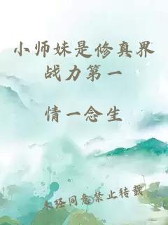 小师妹是修真界战力第一