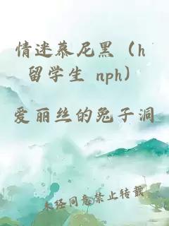 情迷慕尼黑（h 留学生 nph）