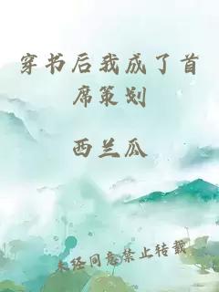 穿书后我成了首席策划