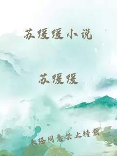 苏缓缓小说