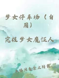 梦女停车场（自用）