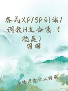 各式XP/SP训诫/调教H文合集（耽美）