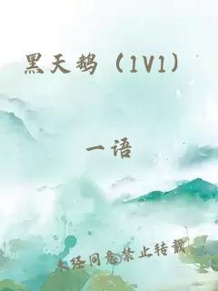 黑天鹅（1V1）