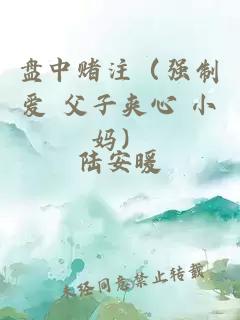 盘中赌注（强制爱 父子夹心 小妈）