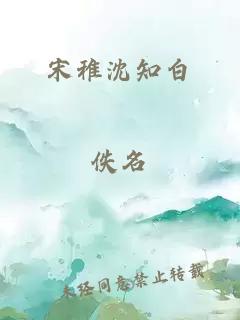 宋稚沈知白