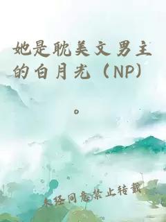 她是耽美文男主的白月光（NP）