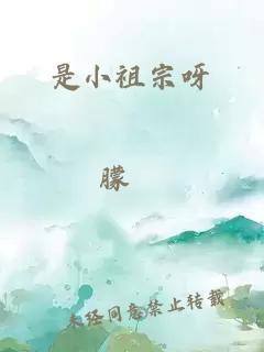 是小祖宗呀