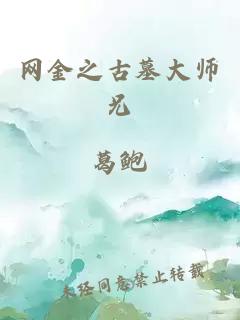 网金之古墓大师兄