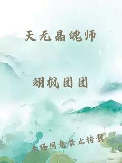 天元晶魄师