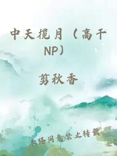 中天揽月（高干NP）